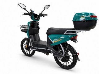 IDEA_Green _2